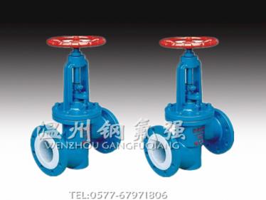 Fluorine lined globe valve