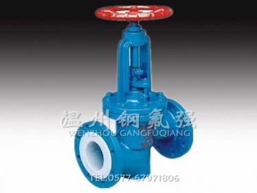 Steel lined PTFE globe valve