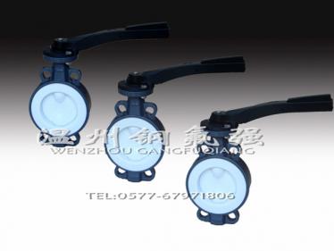 Steel lined F4 butterfly valve