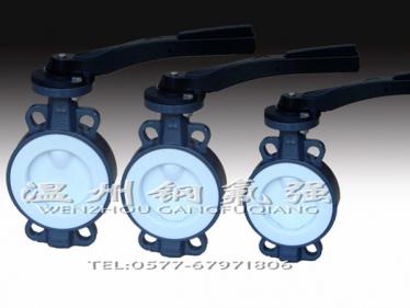 Steel lined PTFE butterfly valve